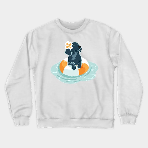 Summer pool pawty // aqua background Labrador Retriever dog breed in vacation playing on swimming pool Crewneck Sweatshirt by SelmaCardoso